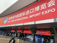 对外开放的靓丽名片——第五届中国国际进口博