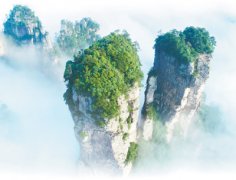 从种山林到种风景（新中国